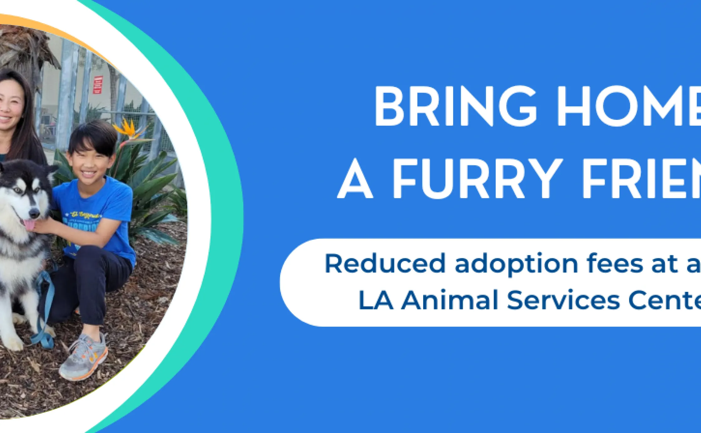 Bring Home a Furry Friend Adoption Weekend | LA Animal Services